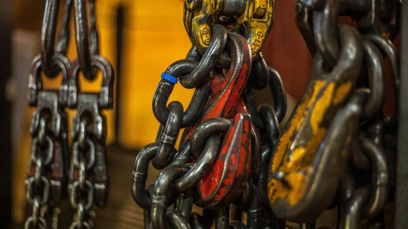 WhatsApp Image 2026-03-22 at 19.50.01