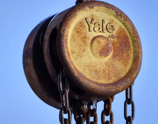 WhatsApp Image 2026-03-24 at 12.03.18