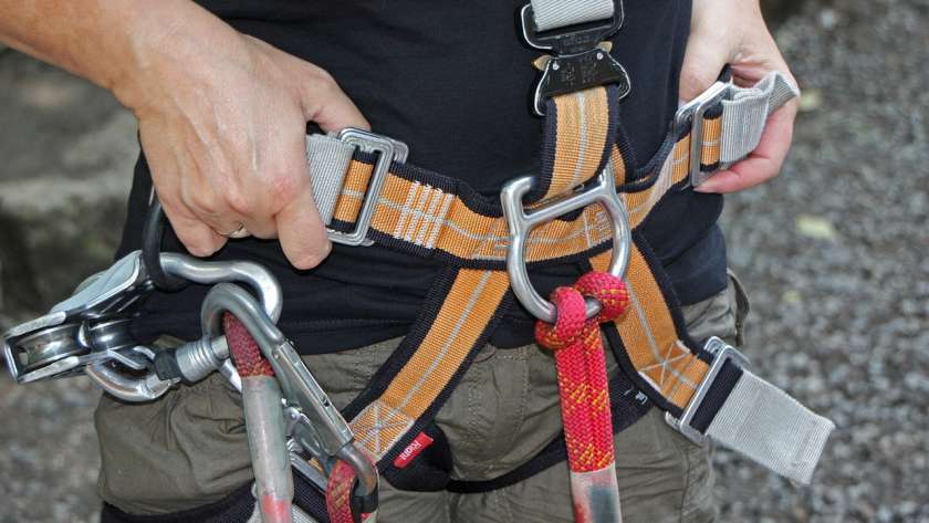 forest-climbing-park-931256_1280